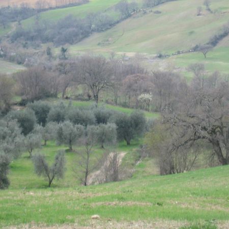 Agriturismo Casa Fibbianello Semproniano Εξωτερικό φωτογραφία
