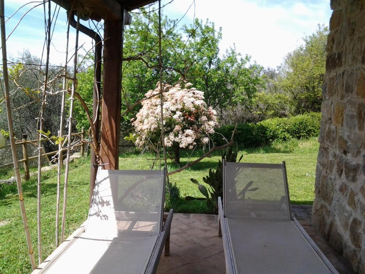 Agriturismo Casa Fibbianello Semproniano Εξωτερικό φωτογραφία