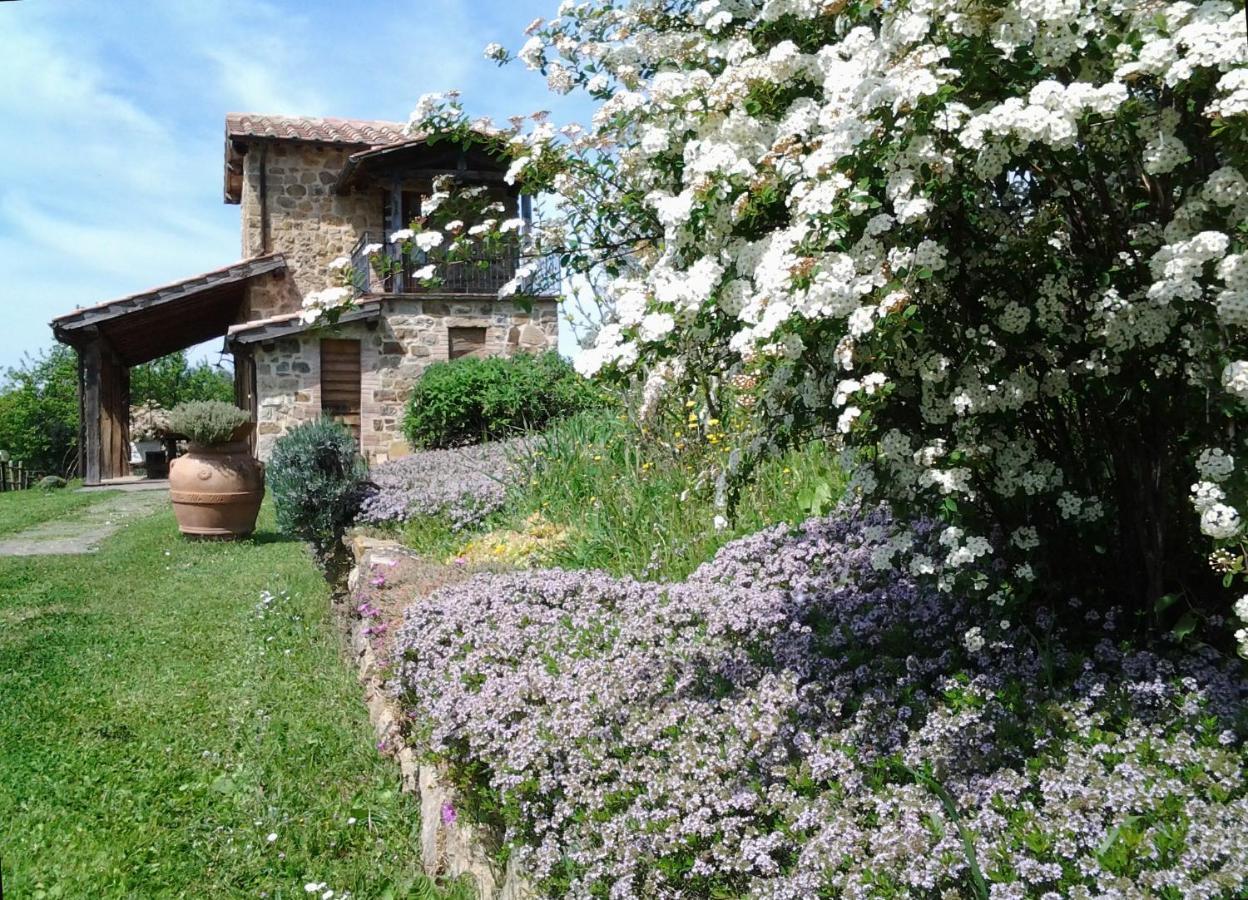 Agriturismo Casa Fibbianello Semproniano Εξωτερικό φωτογραφία