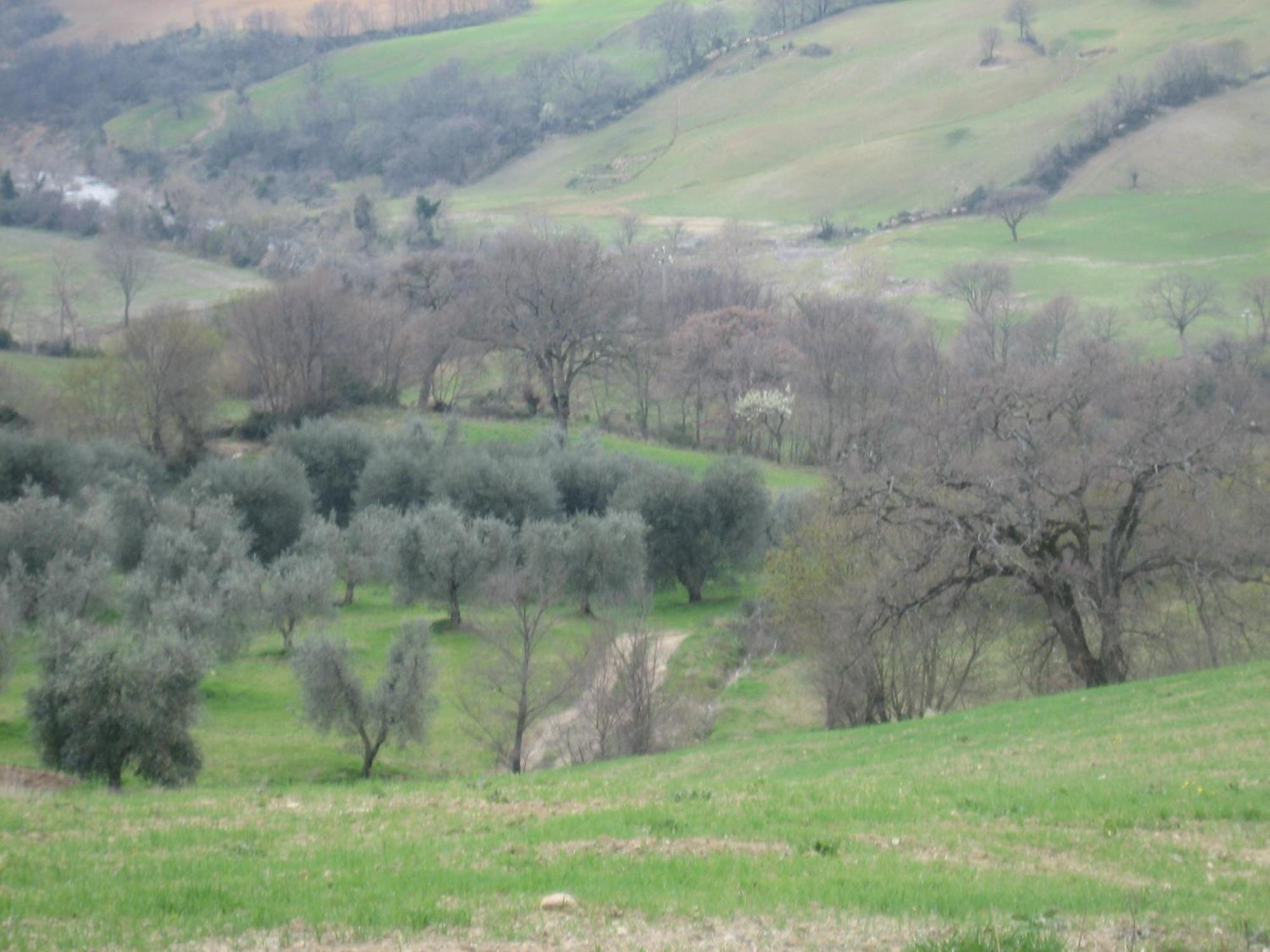Agriturismo Casa Fibbianello Semproniano Εξωτερικό φωτογραφία