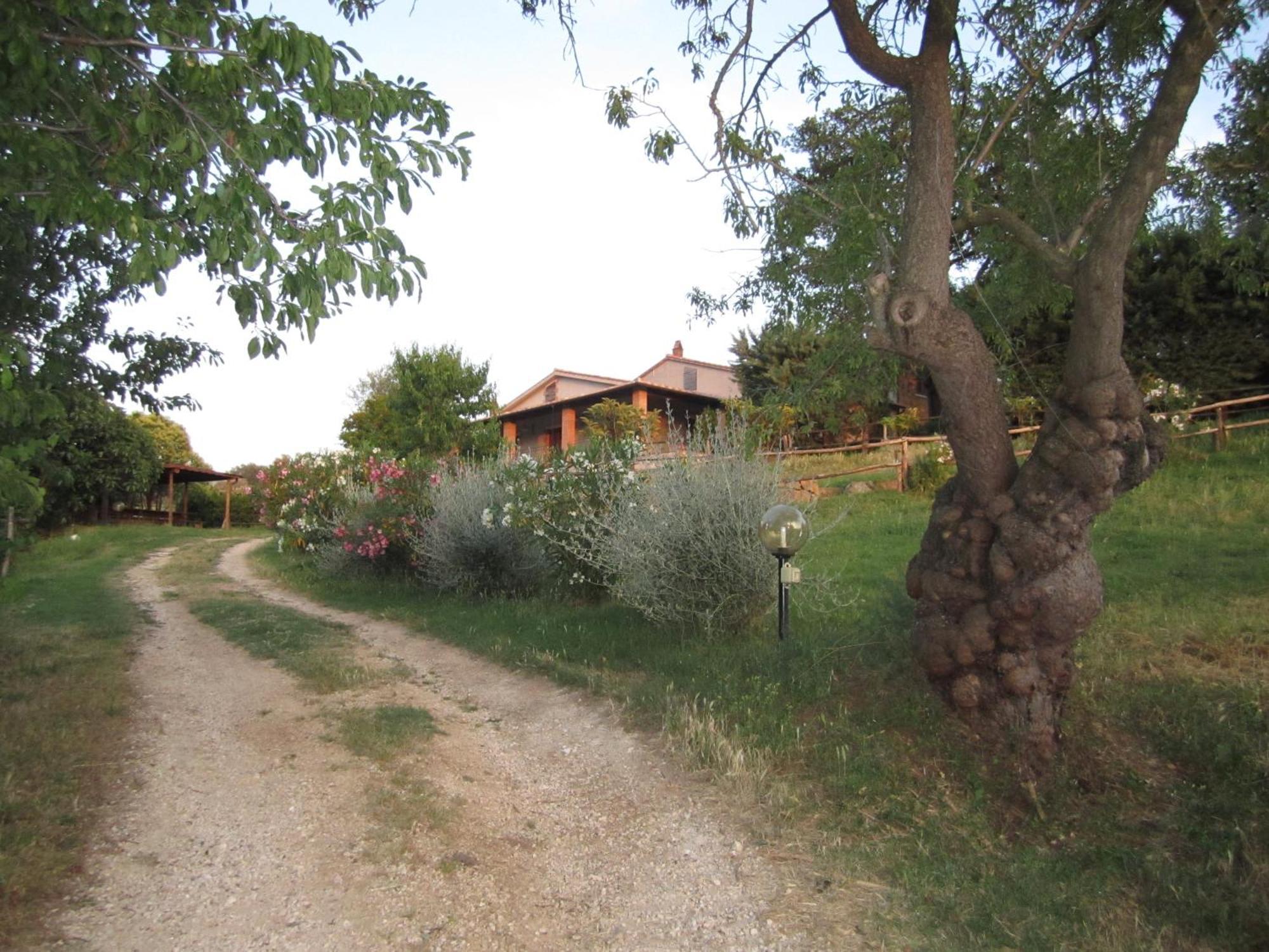 Agriturismo Casa Fibbianello Semproniano Εξωτερικό φωτογραφία