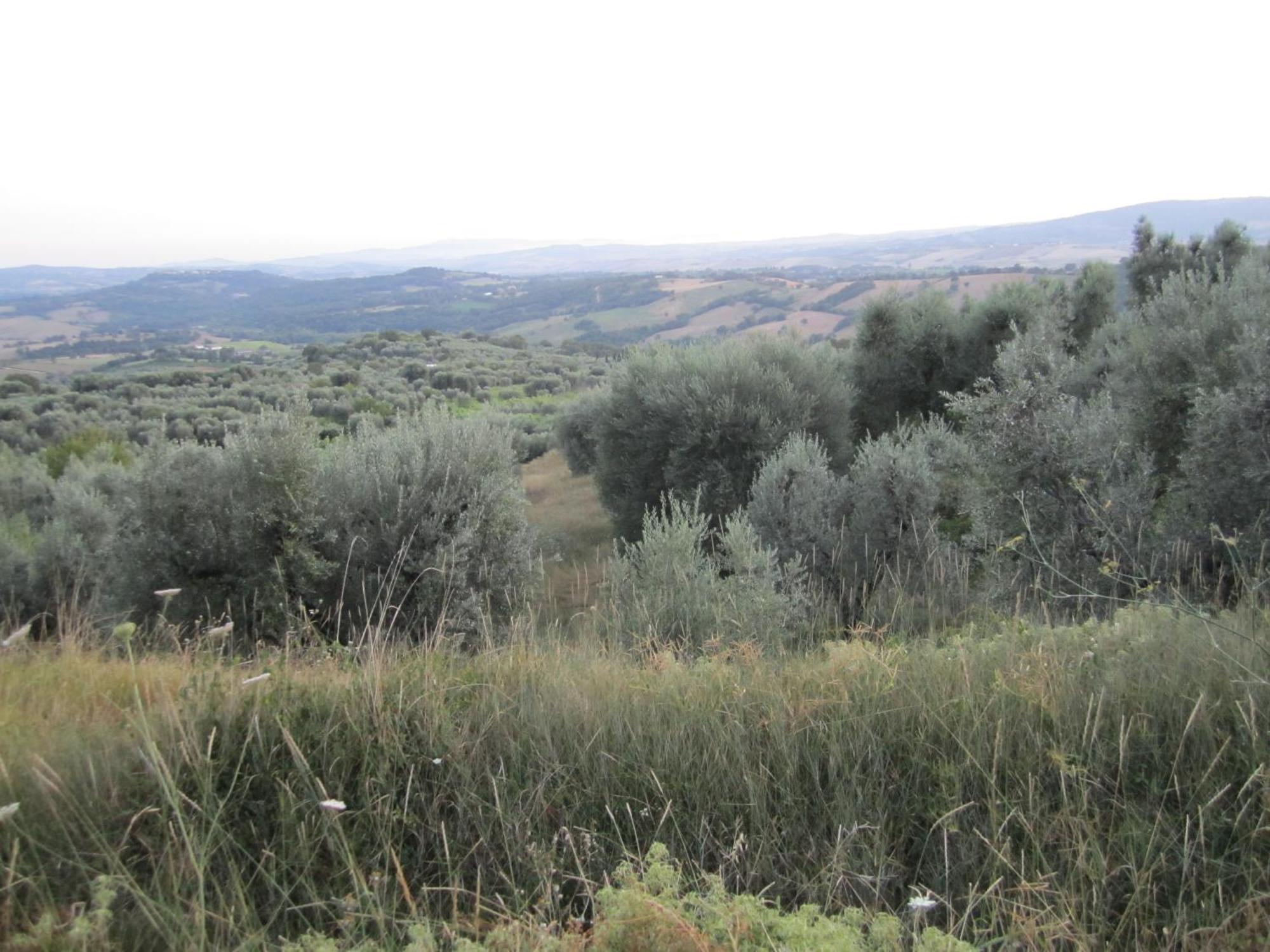 Agriturismo Casa Fibbianello Semproniano Εξωτερικό φωτογραφία