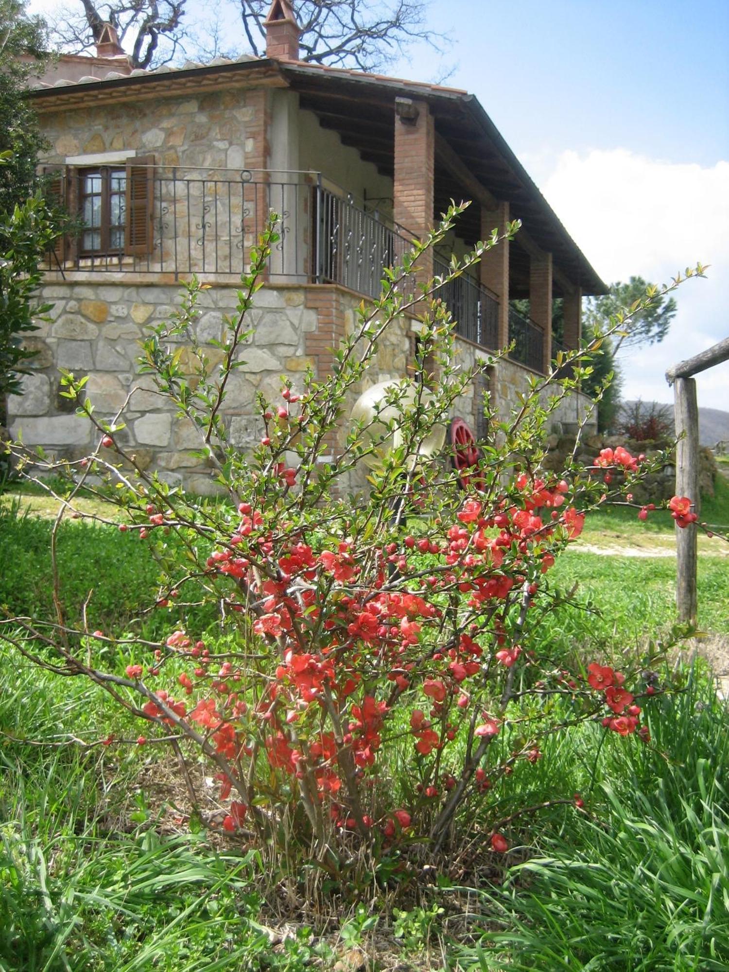Agriturismo Casa Fibbianello Semproniano Εξωτερικό φωτογραφία