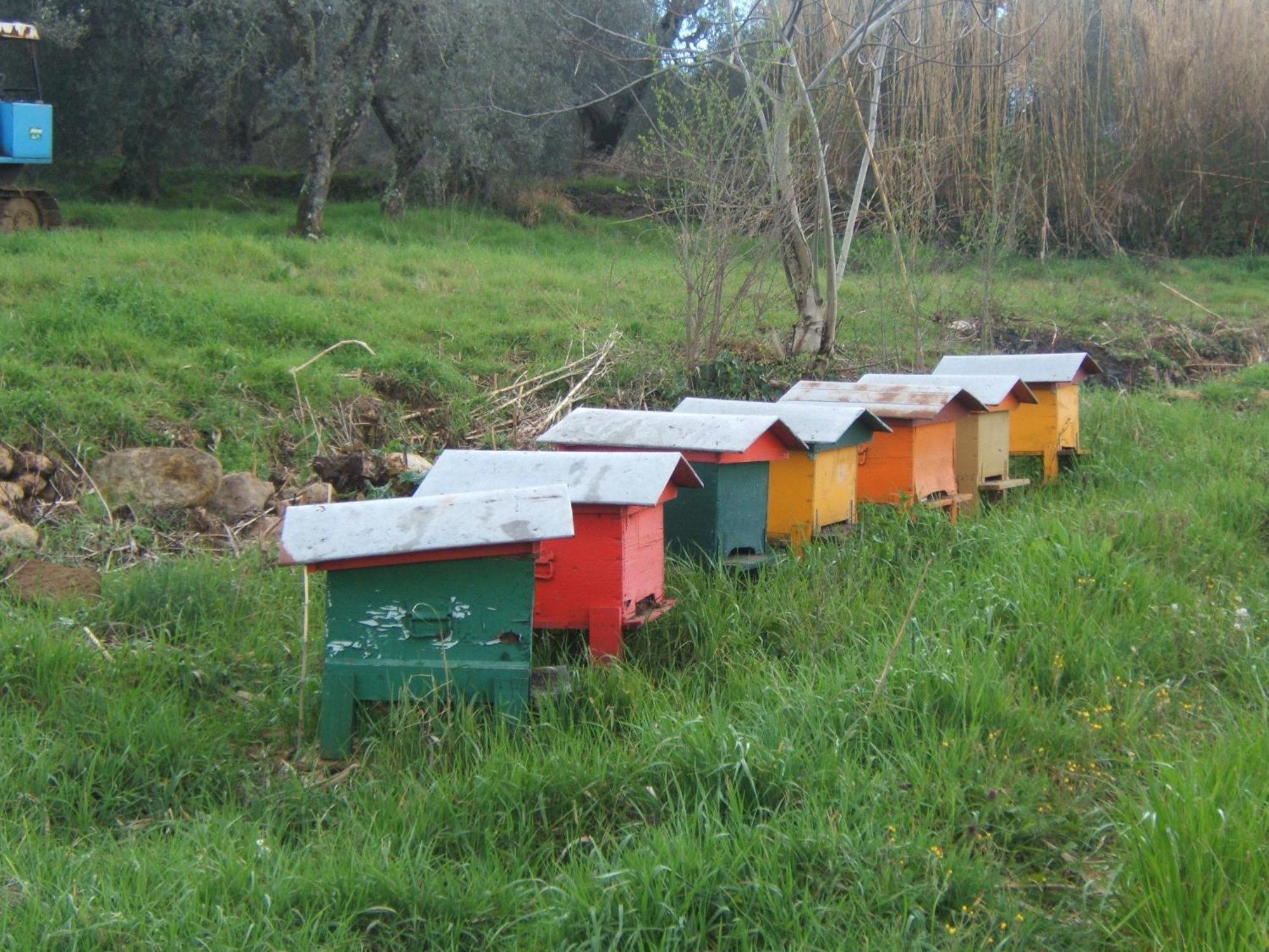 Agriturismo Casa Fibbianello Semproniano Εξωτερικό φωτογραφία