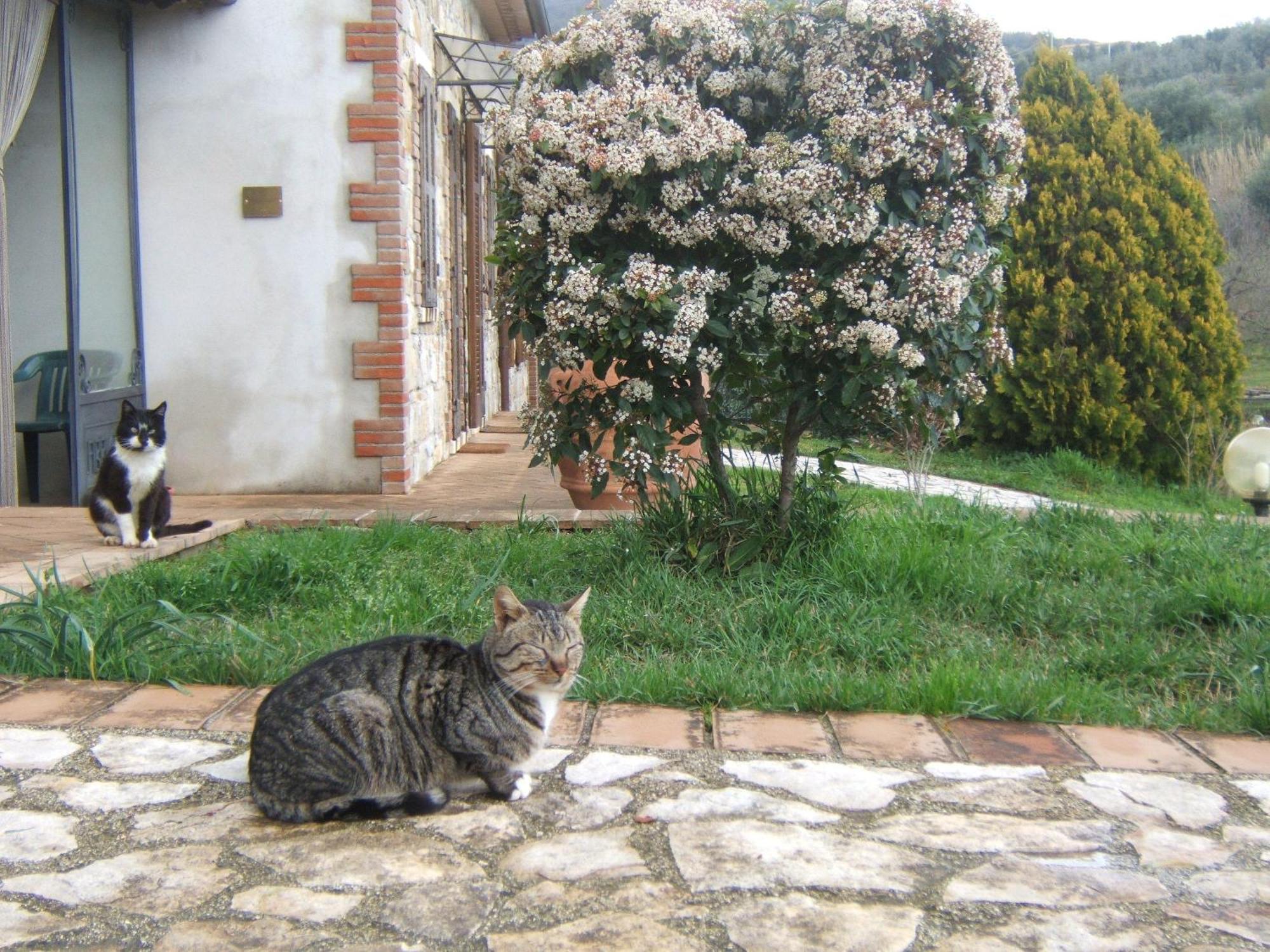 Agriturismo Casa Fibbianello Semproniano Εξωτερικό φωτογραφία