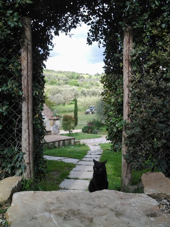 Agriturismo Casa Fibbianello Semproniano Εξωτερικό φωτογραφία